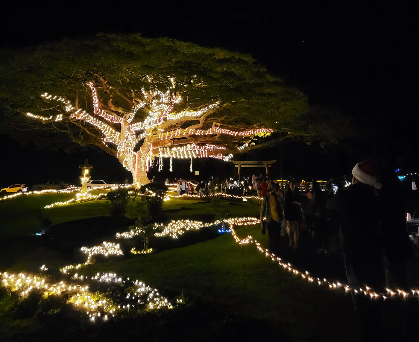 16 Best Free Things to do in Hilo in 2024