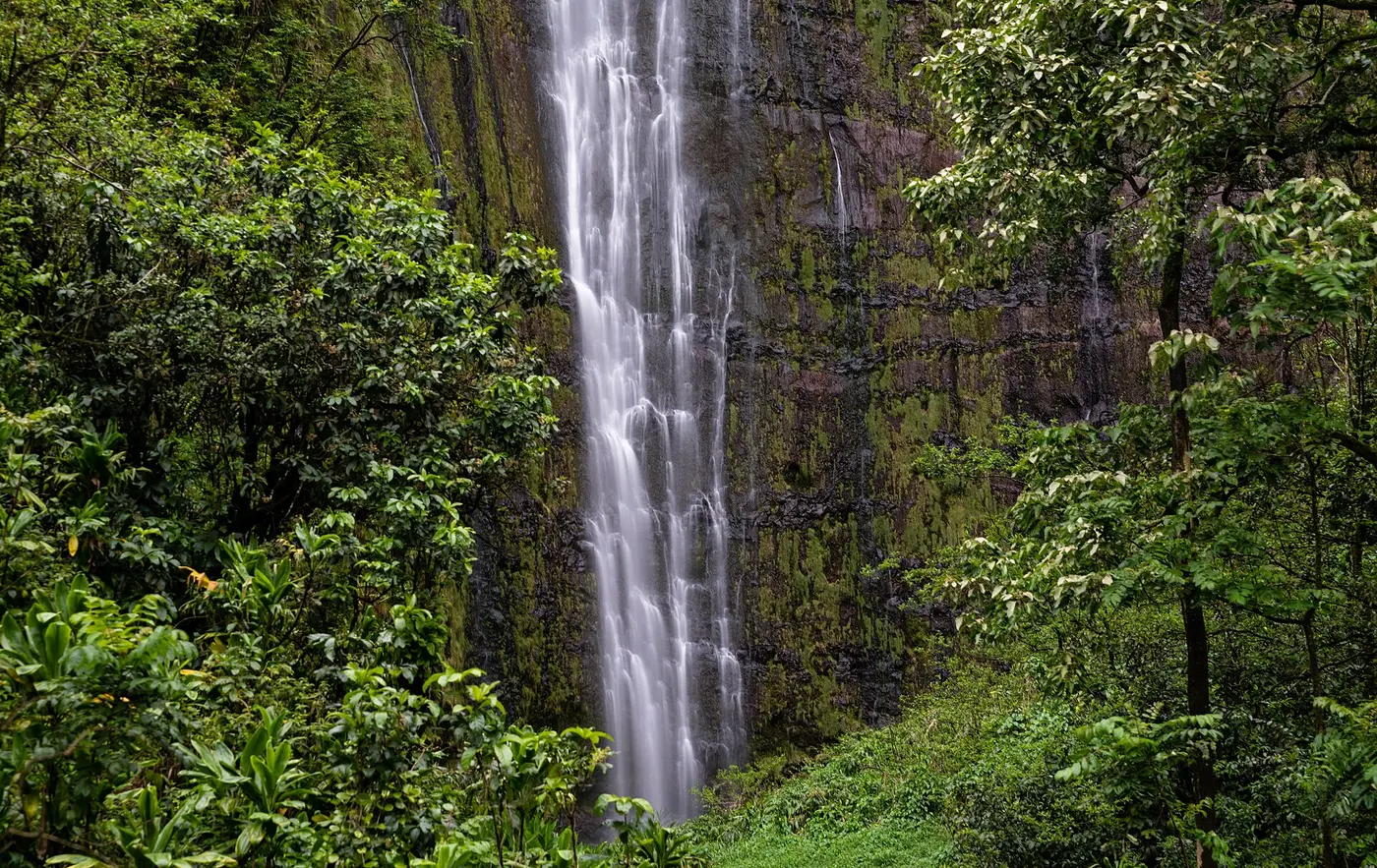 15 Best Maui Waterfalls That Will Leave You in Awe