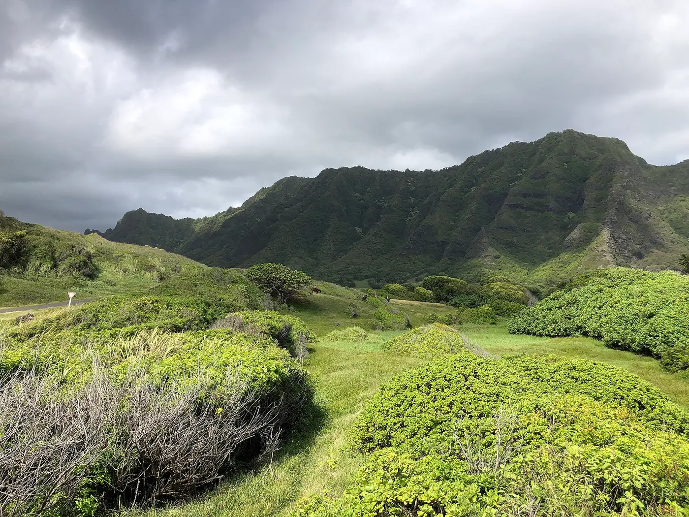 Discover Oahu Beauty with Kualoa Ranch Horseback Riding