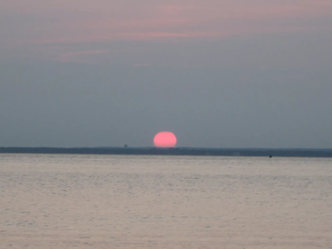 Where to Eat Near Corey Beach, Long Island
