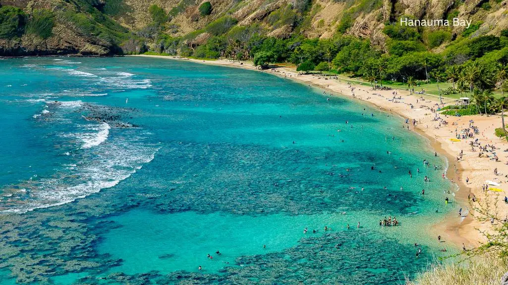 14 Best Things to do for Couples in Honolulu