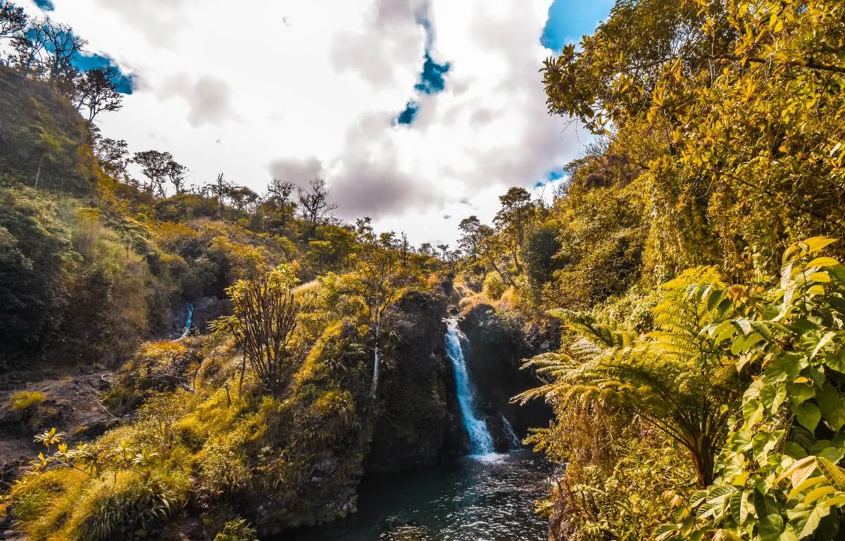 The Top 10 Free Things in Maui You Can't Miss!