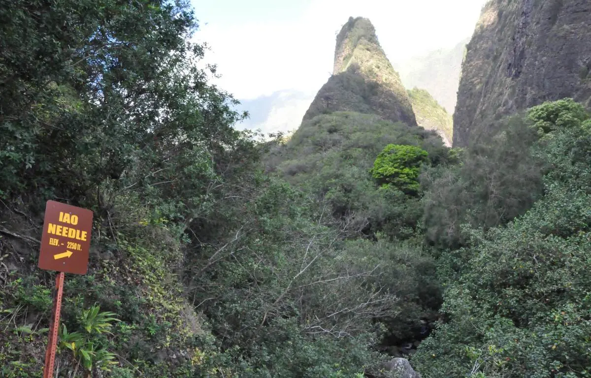 The Top 10 Free Things to do in Maui You Can't Miss!