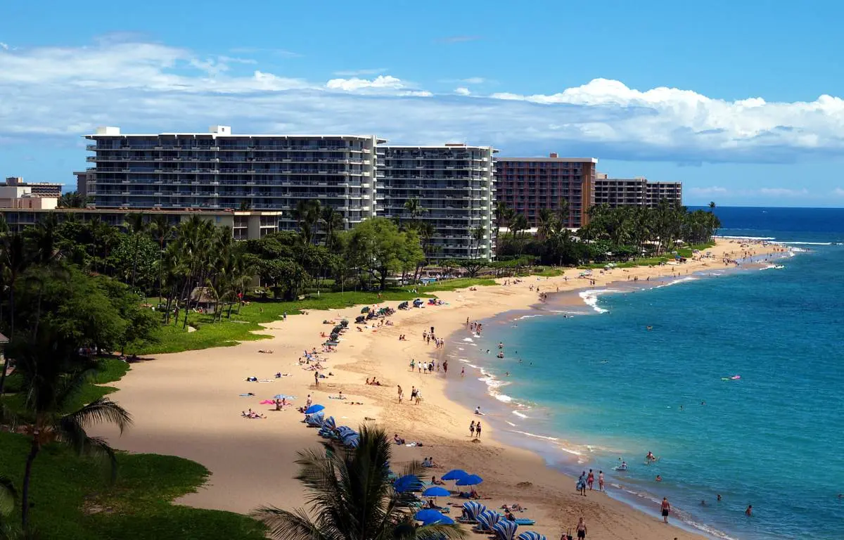 The Top 10 Free Things to do in Maui You Can't Miss!