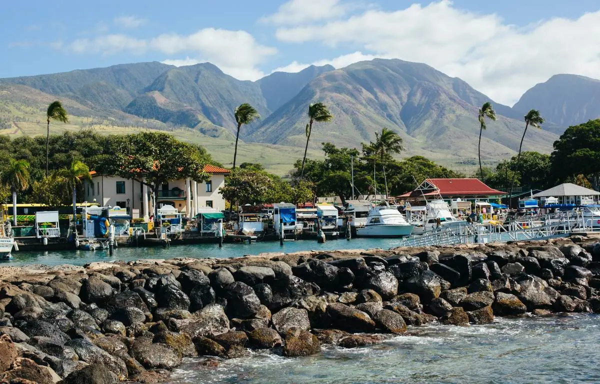 The Top 10 Free Things to do in Maui You Can't Miss!