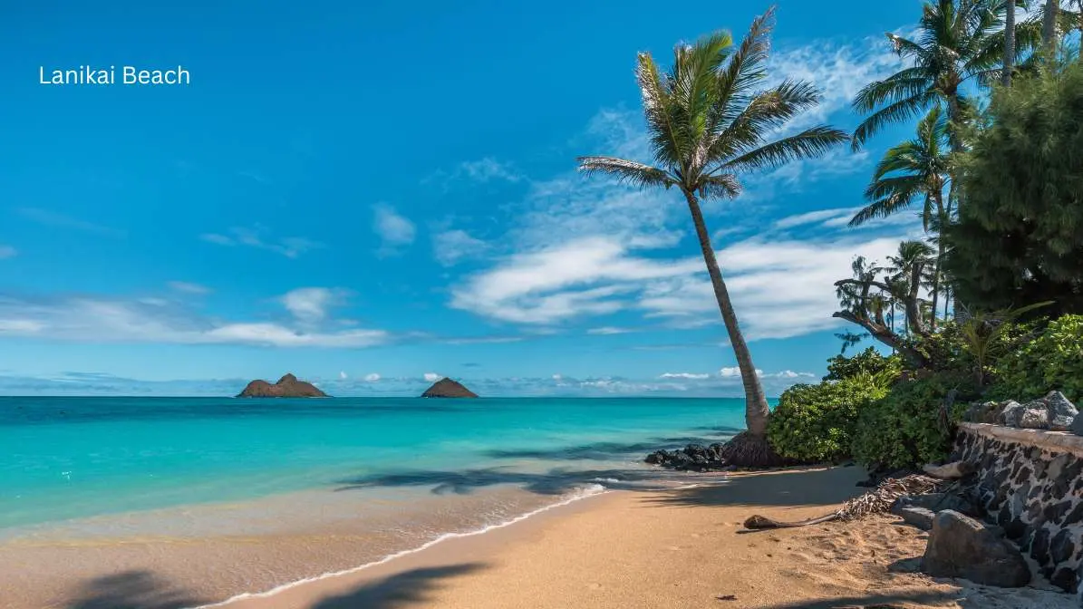 14 Best Things to do for Couples in Honolulu