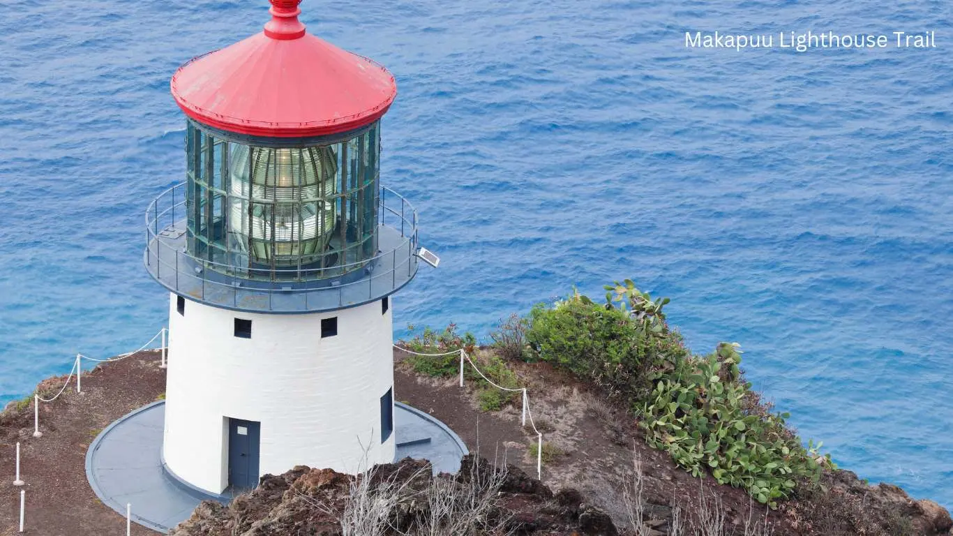 14 Best Things to do for Couples in Honolulu