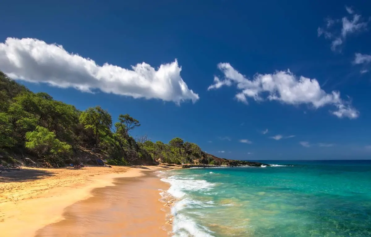 The Top 10 Free Things to do in Maui You Can't Miss!