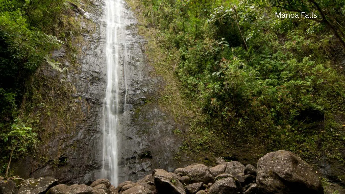 14 Best Things to do for Couples in Honolulu