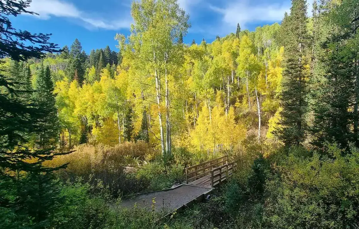 Mill Creek Canyon Salt lake City