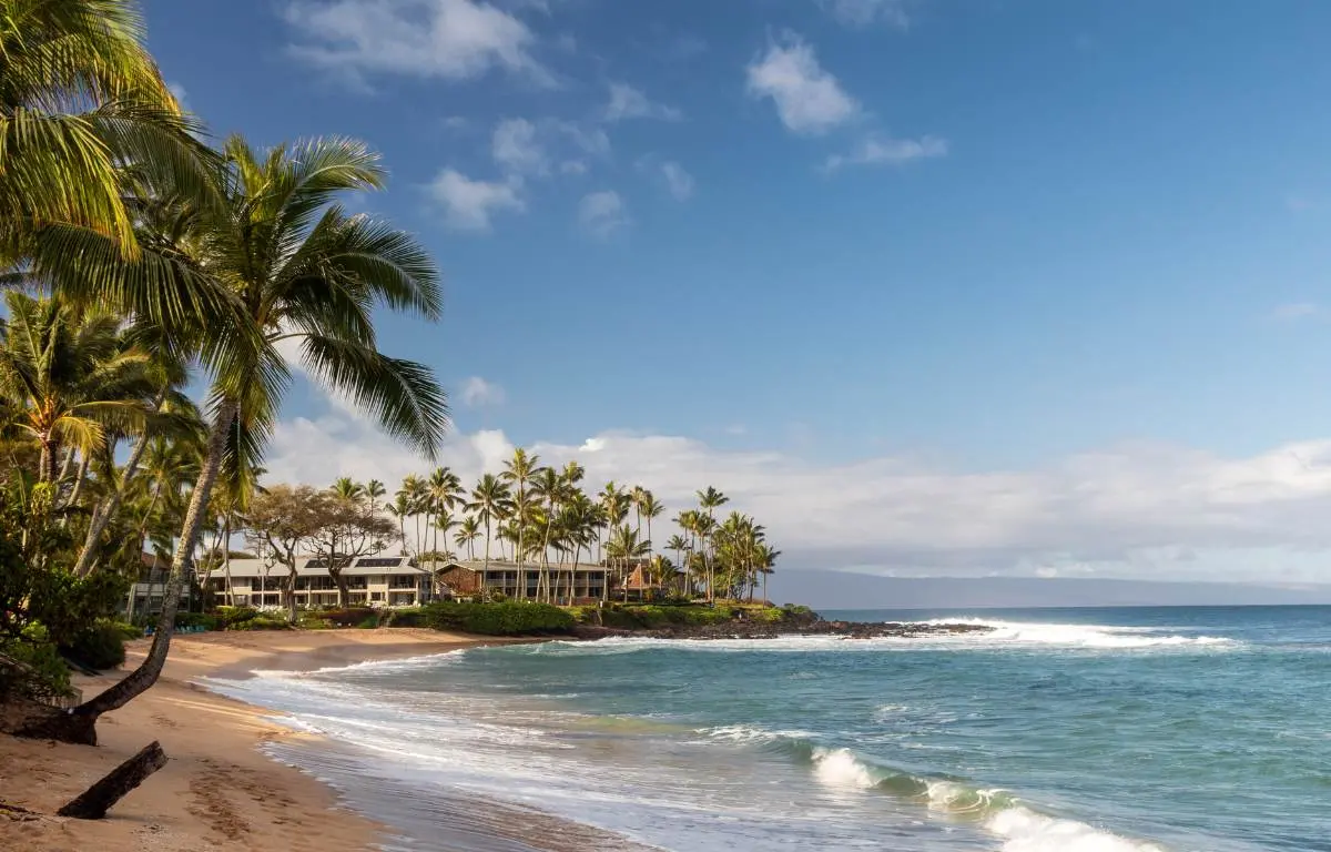The Top 10 Free Things to do in Maui You Can't Miss!