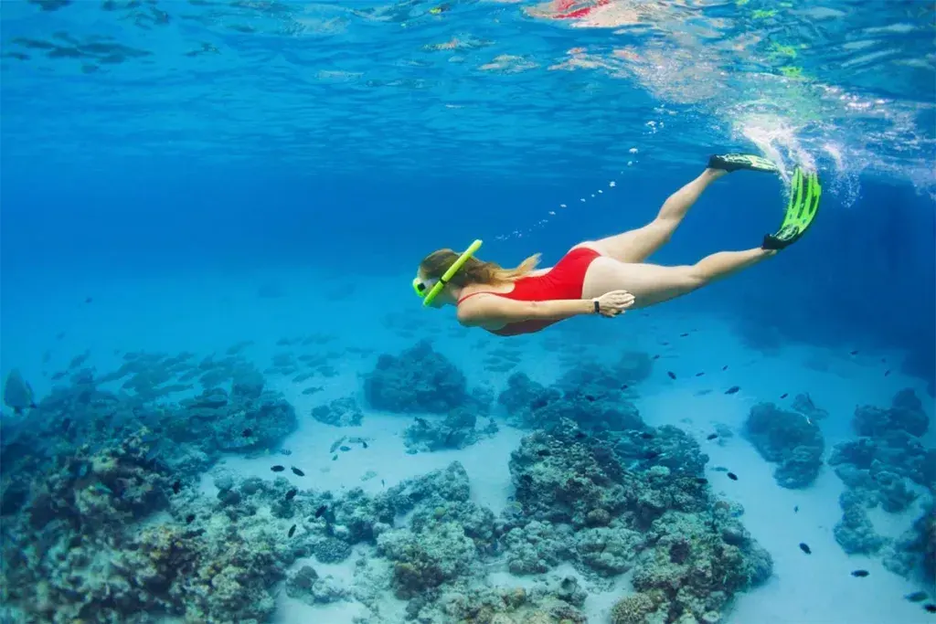 Snorkeling at Honolua Bay: Dive into the Maui Magic