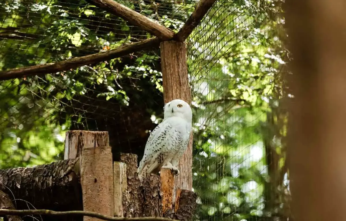 Utahs Hogle Zoo