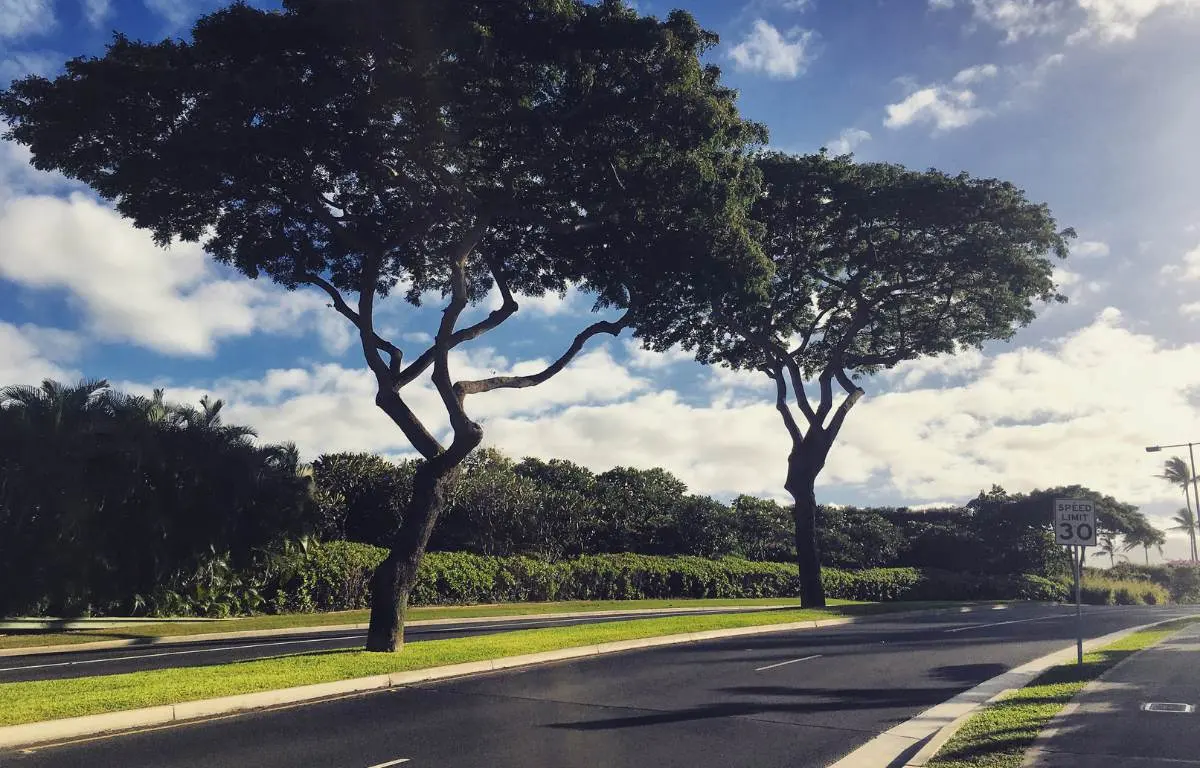 The Top 10 Free Things to do in Maui You Can't Miss!